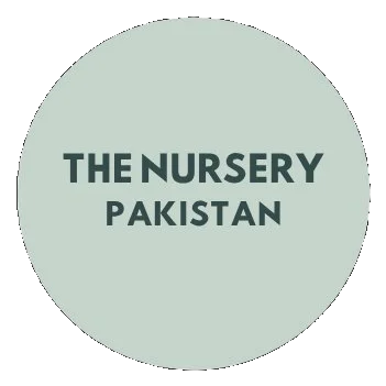 The Nursery logo